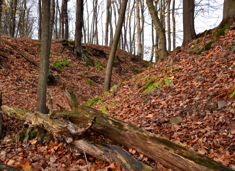 Zřícenina Hradu Najštejn, Czech Republic (Czechia)